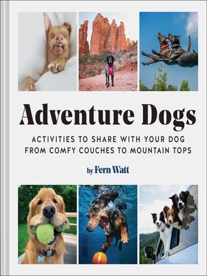 cover image of Adventure Dogs
